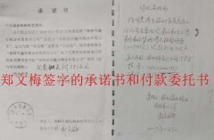 长春中级法院：原法定代表个人委托书居然可以代表公司?